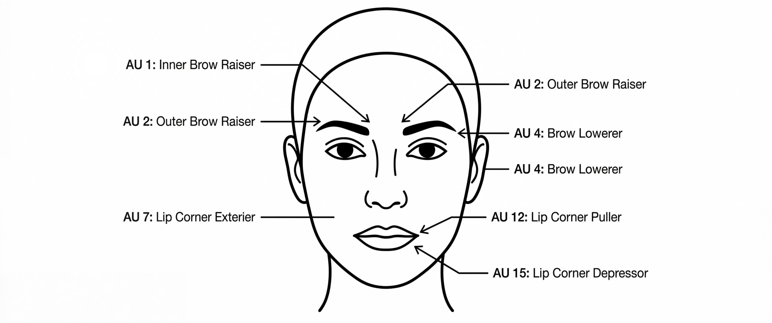 FACS (Facial Action Coding System)